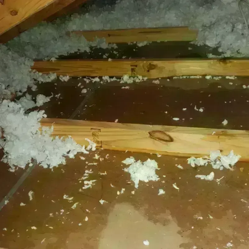 Attic Water Damage in Canyon Lake, TX