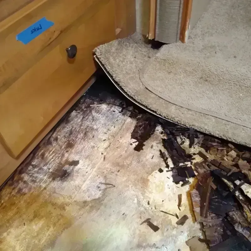 Wood Floor Water Damage in Canyon Lake, TX